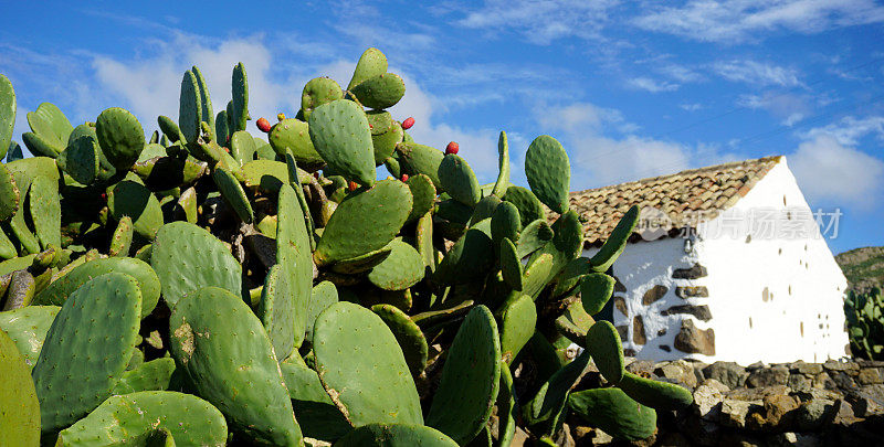 在西班牙加那利群岛的特内里费岛，Teno Alto火山景观与古老的加那利风格的乡村房屋和仙人掌计划。